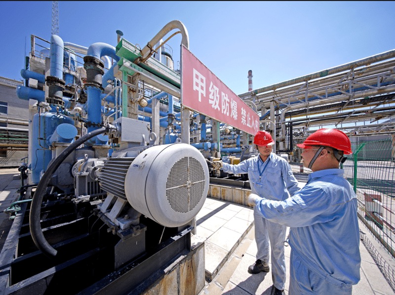 Petrochemical project